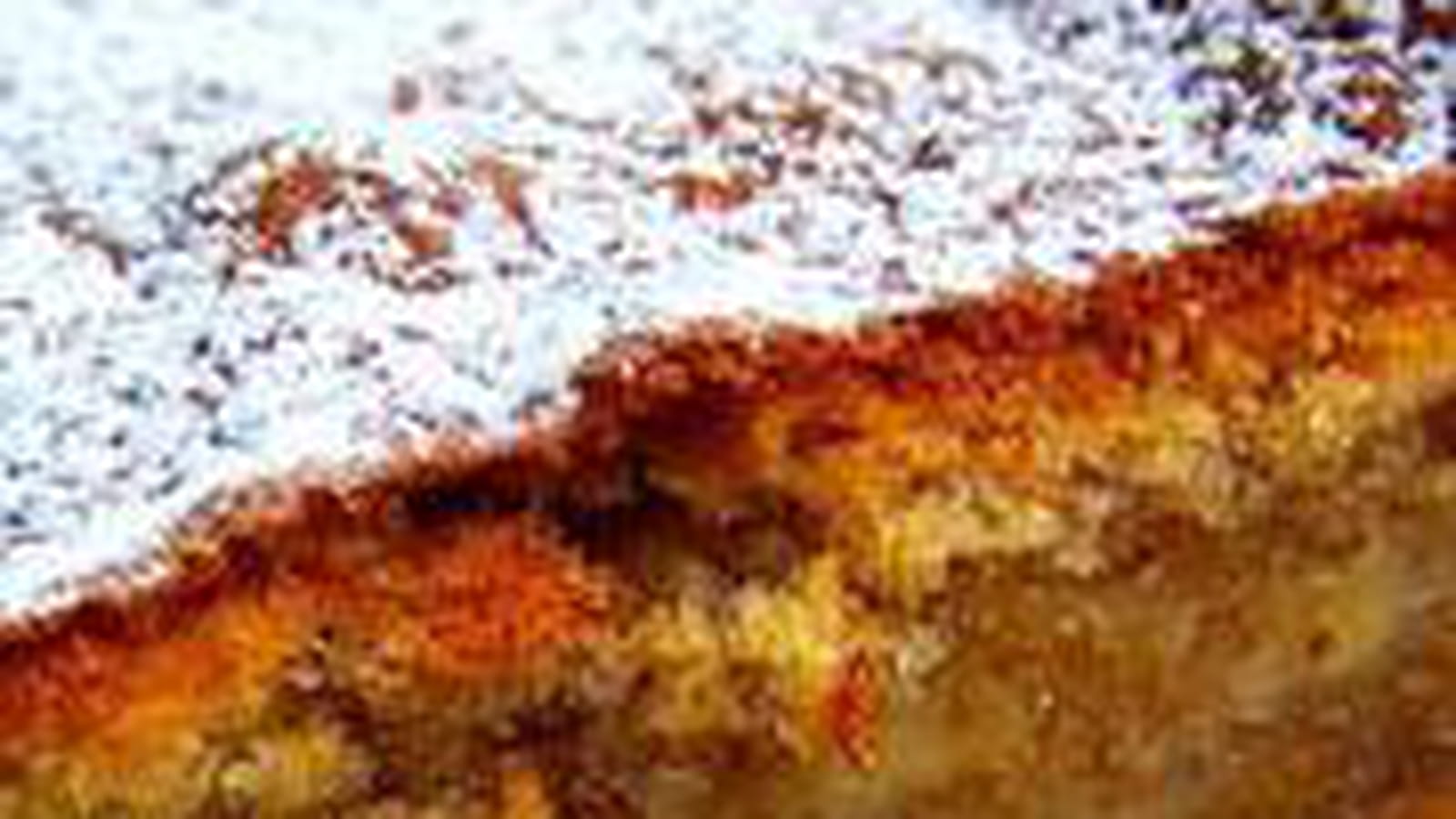 Gâteau fondi-moelleux aux bananes, à la vanille & aux zestes de citron