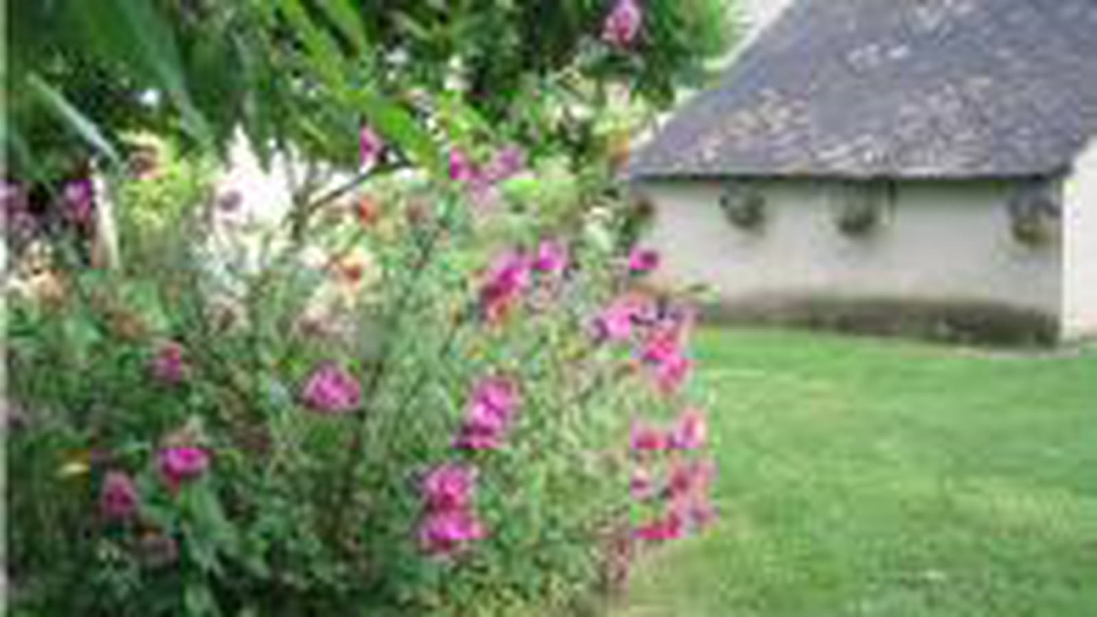 Soue fleurie