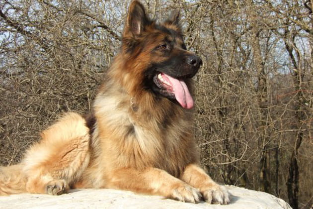 Byron, un aristocrate