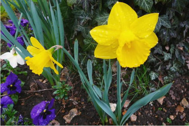 M&eacute;lange des genres