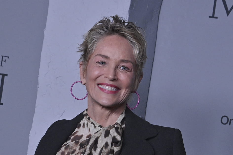Quel &acirc;ge donnez-vous &agrave; Sharon Stone&nbsp;?