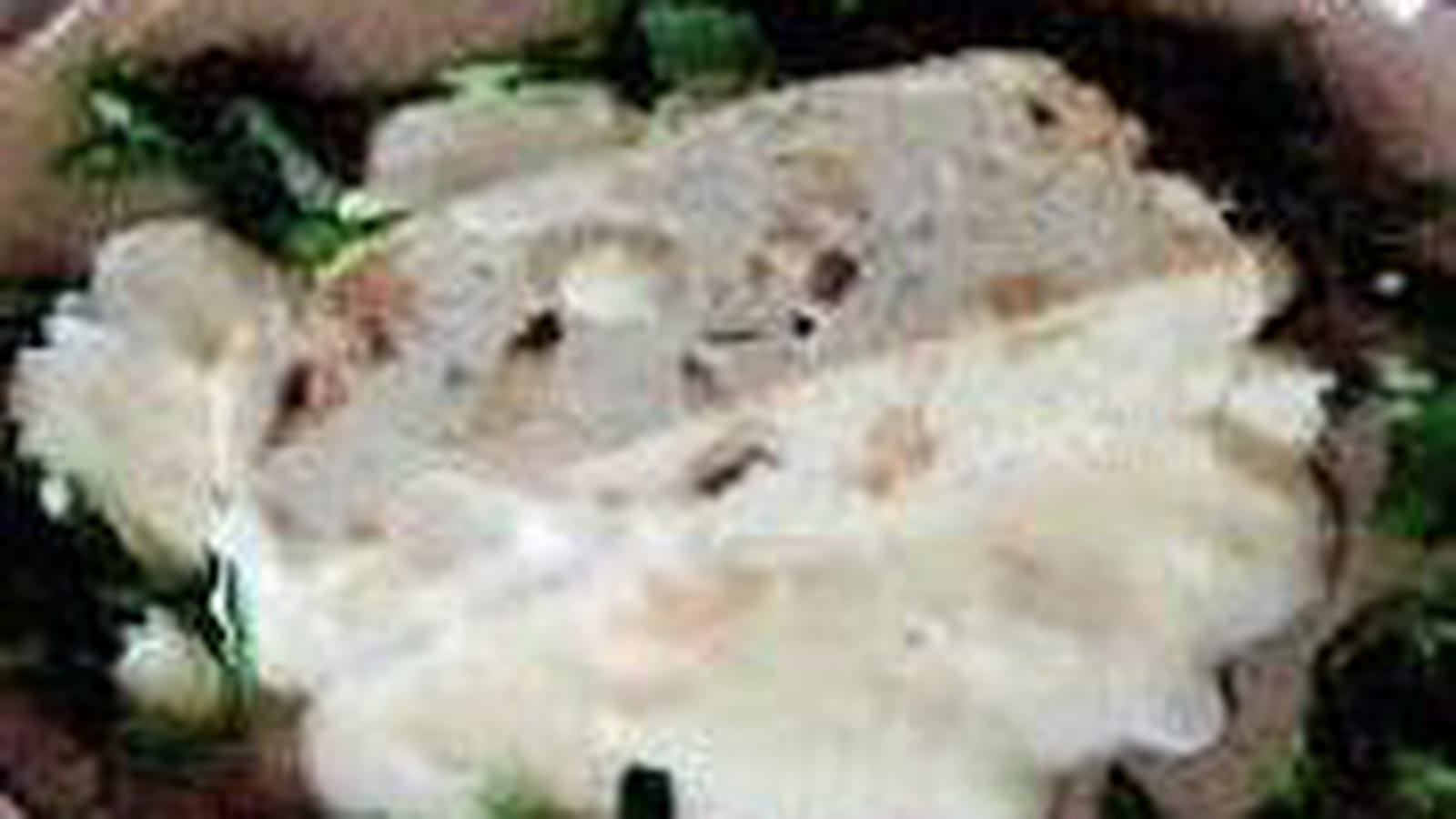 Terrine de Saint-Jacques