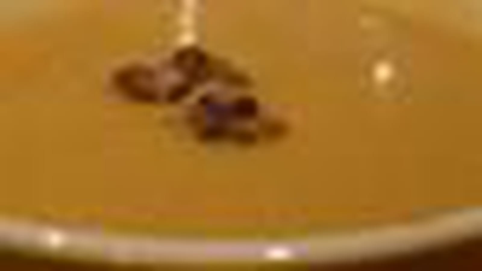 Soupe céléri noix
