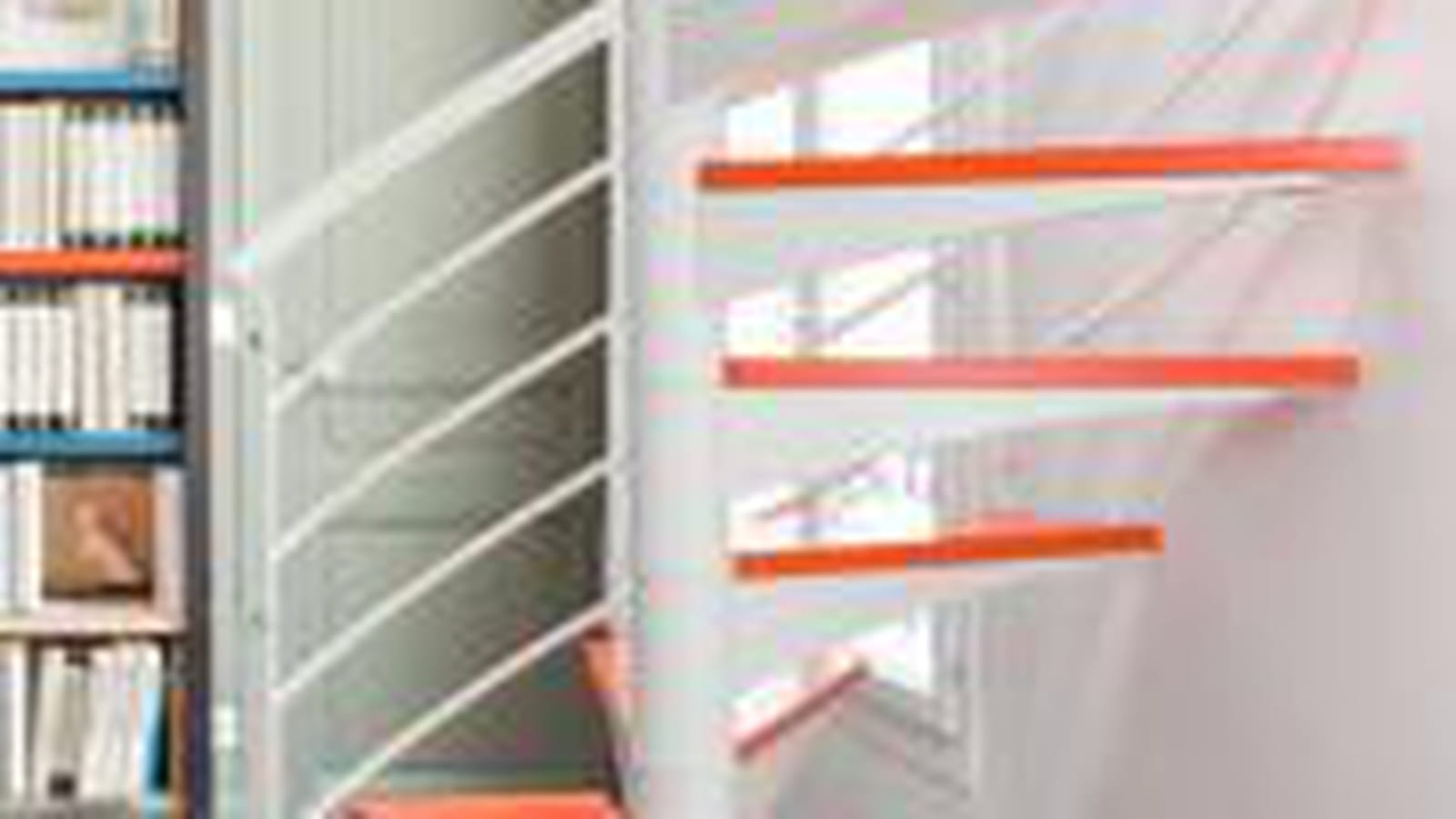 Couleurs vives