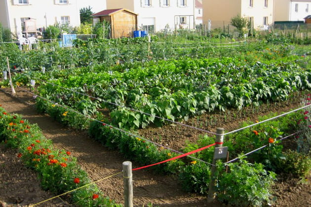 Le jardin de Yannick