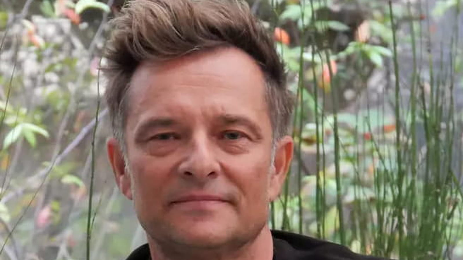 David Hallyday