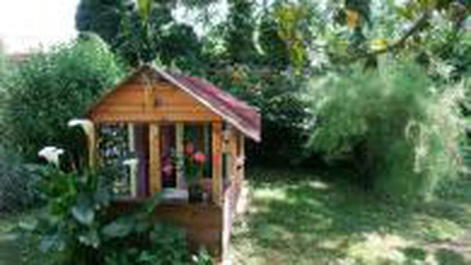 Mini cabane