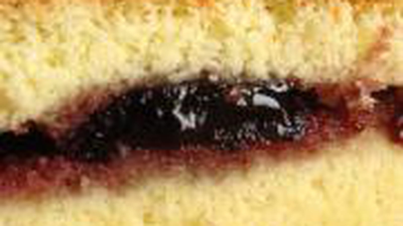 Biscuit de Savoie