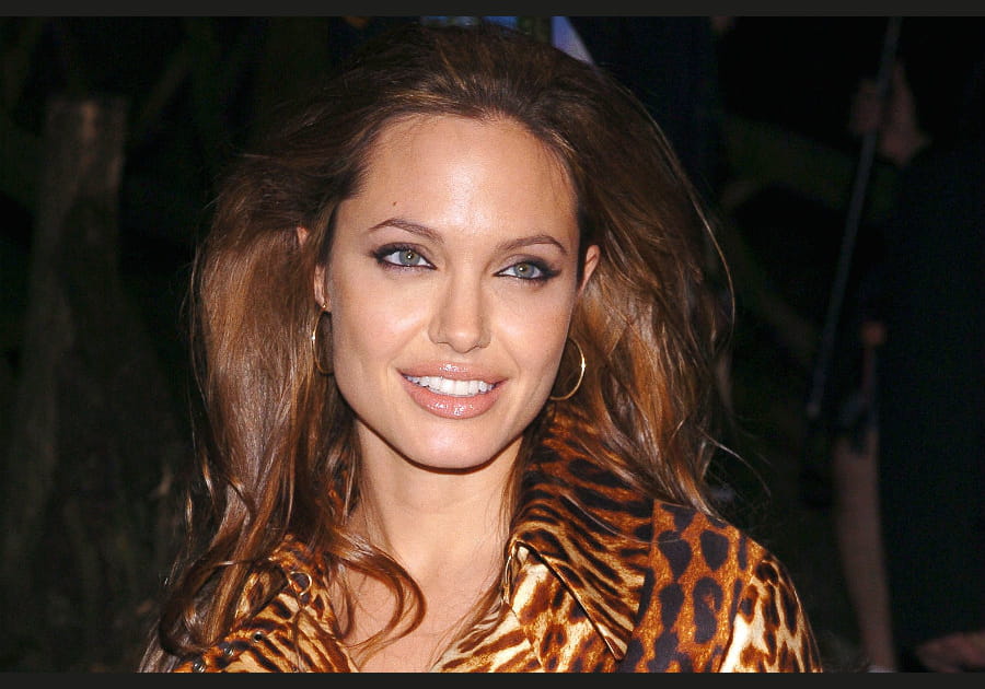 La chevelure de lionne d'Ang&eacute;lina Jolie