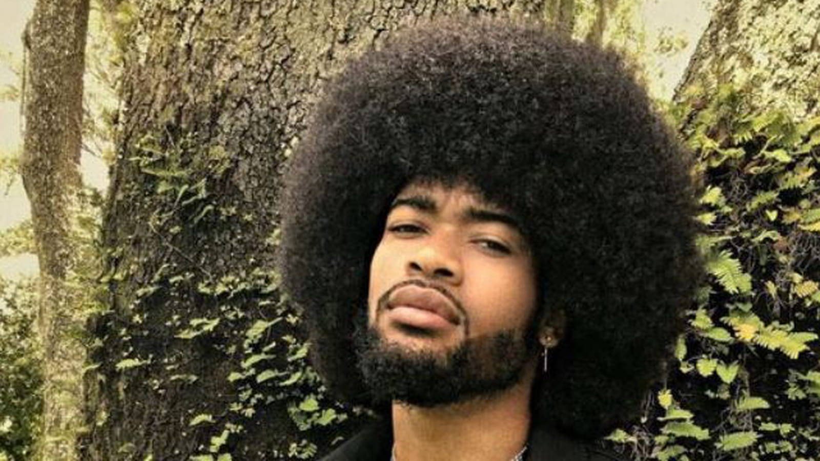 L'afro libre