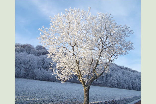 D&eacute;cembre de givre