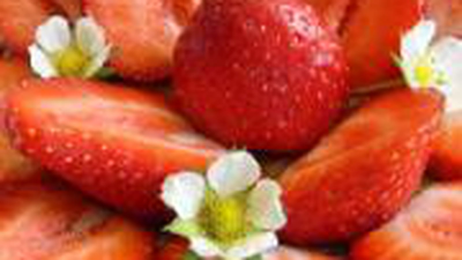 Tartelette fraise rhubarbe