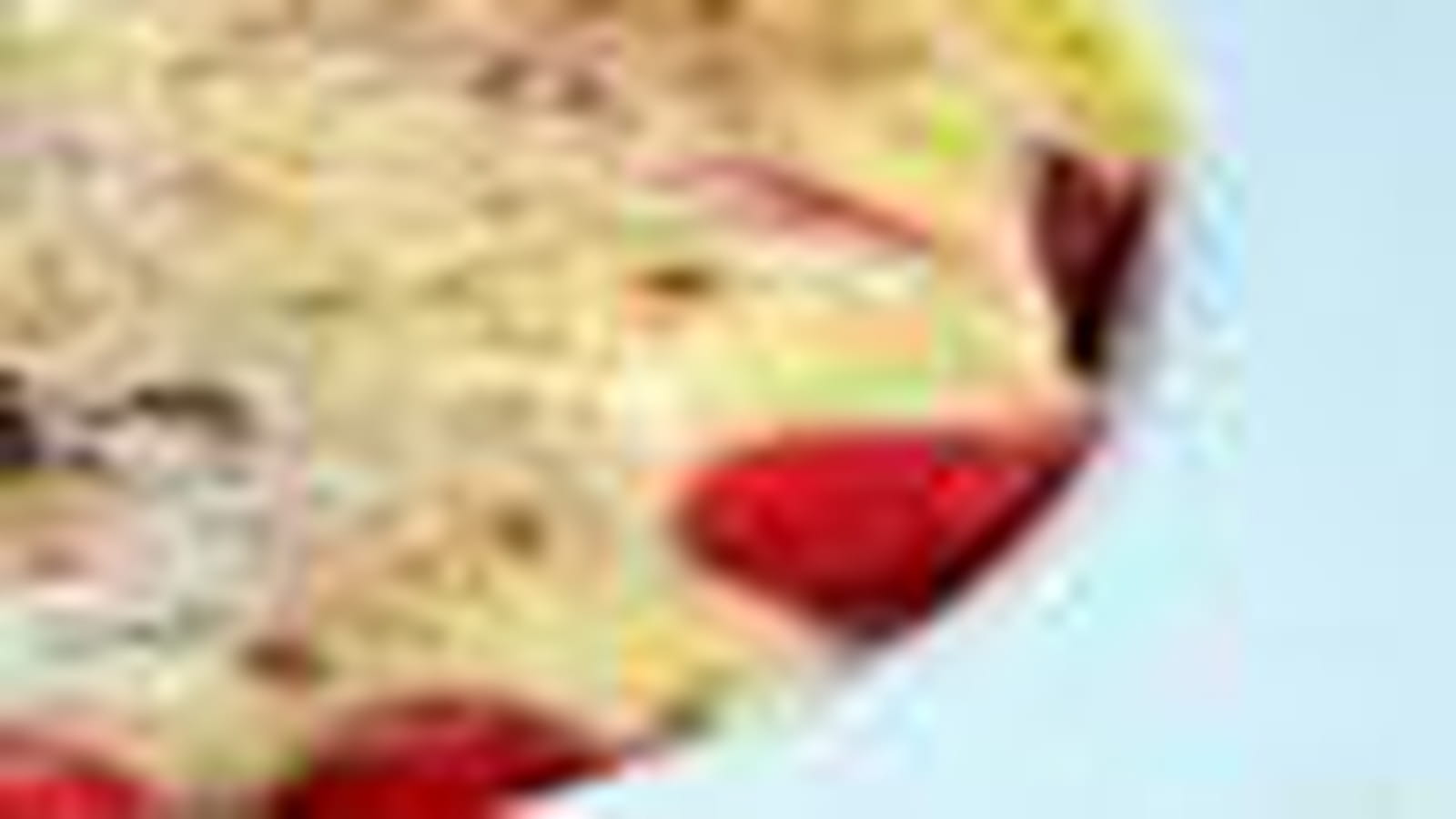 Gratin fruits rouges