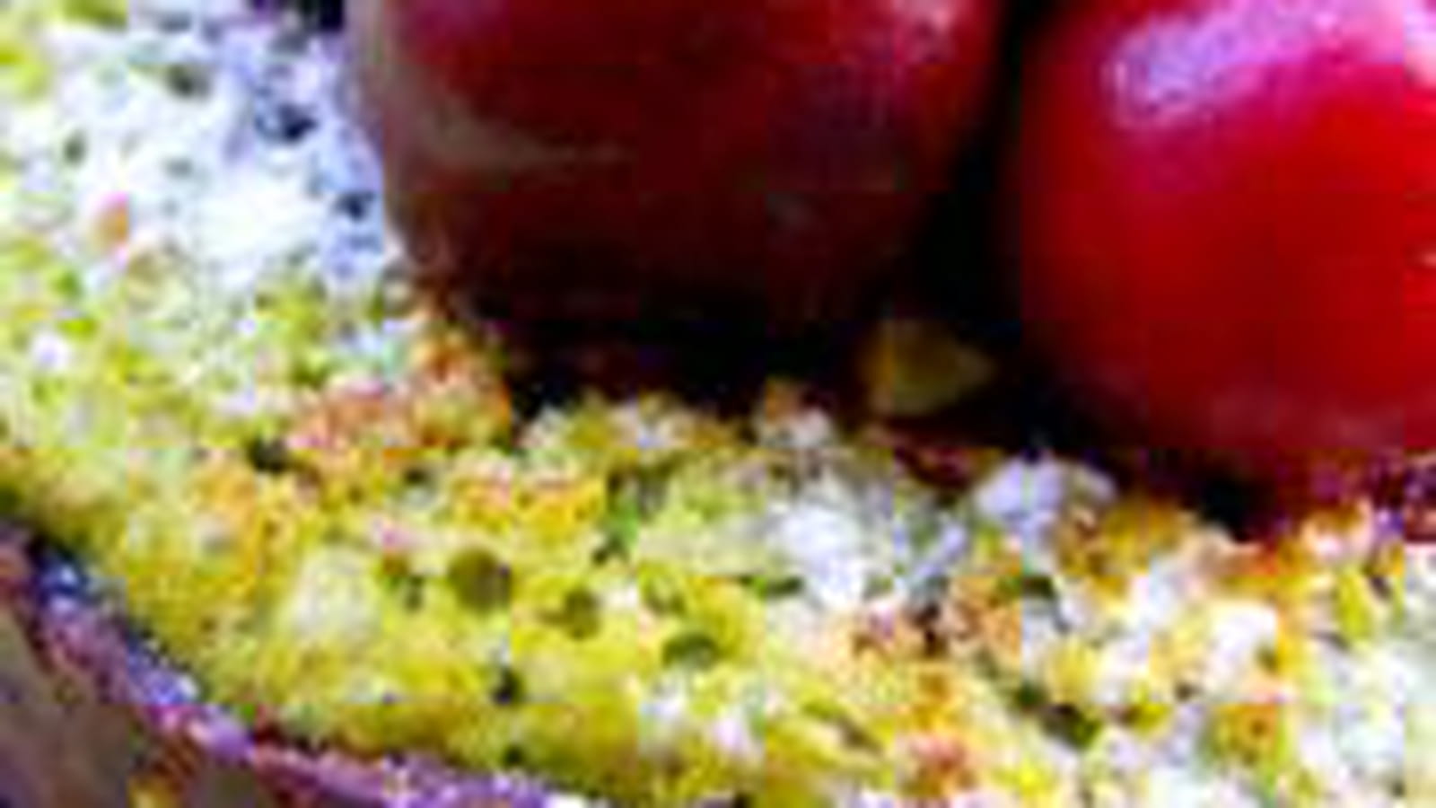 Tartelettes gourmandes chocolatées, saveur pistaches et cerise