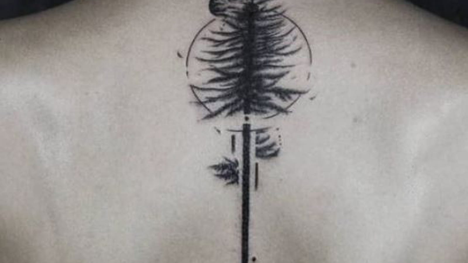 Arbre sombre sur la colonne vertébrale