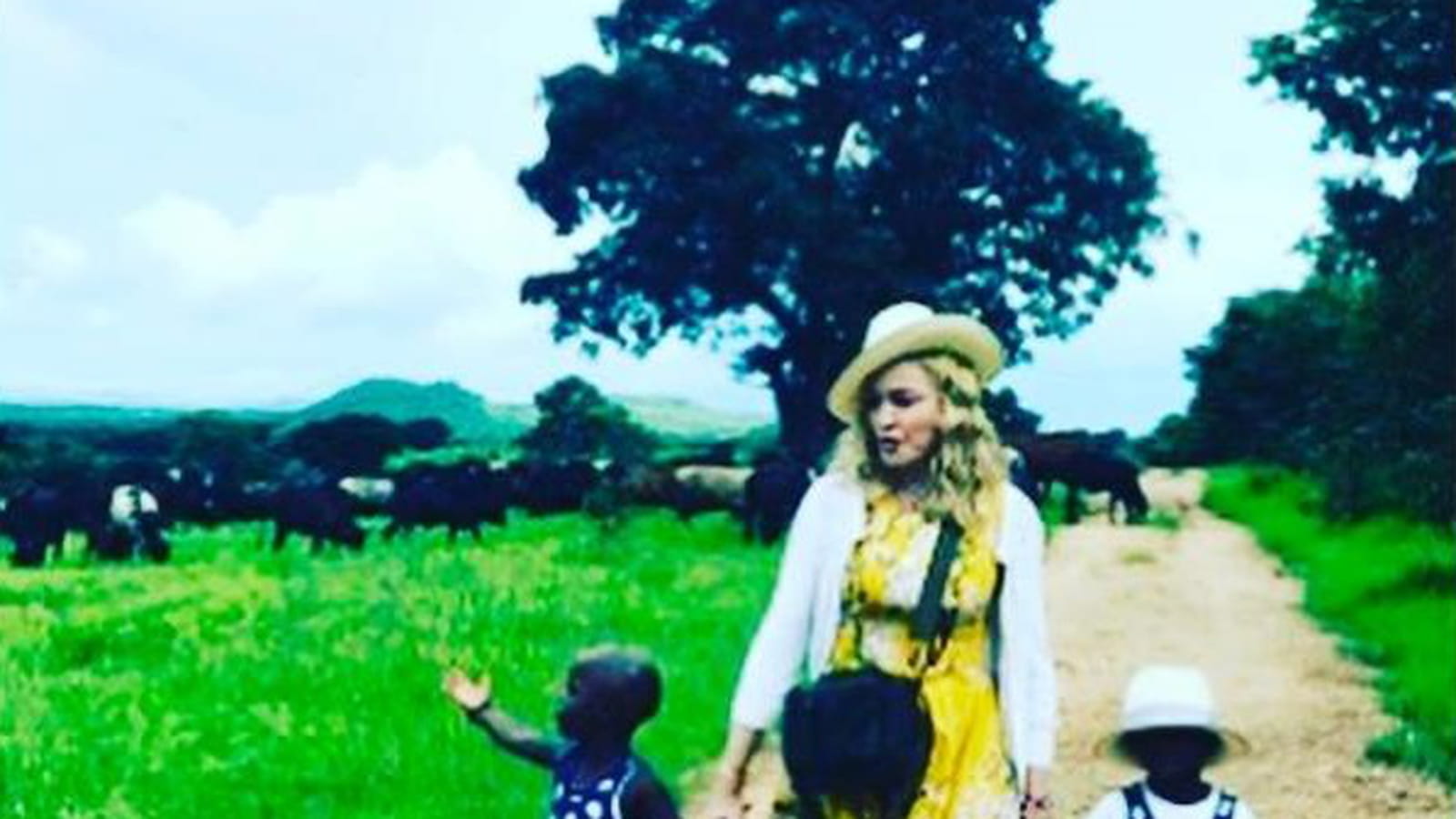 Madonna