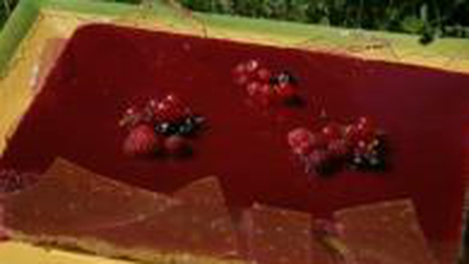 Bavarois aux fruits rouges
