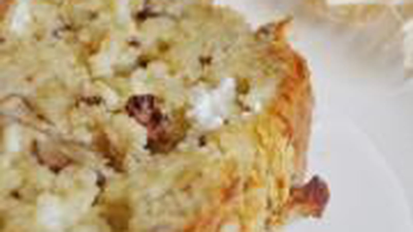Cake au fromage de chèvre