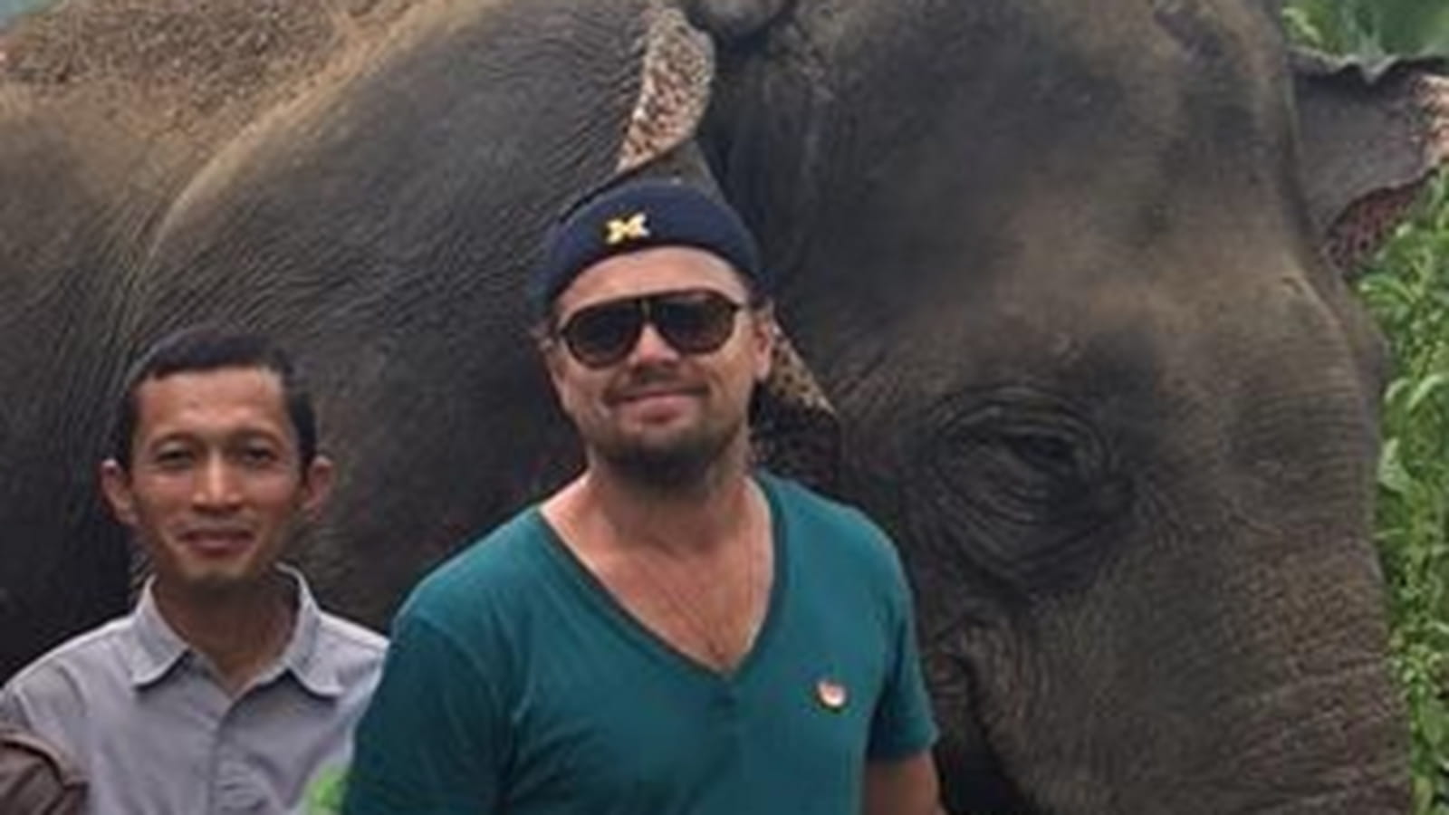 Leonardo DiCaprio 