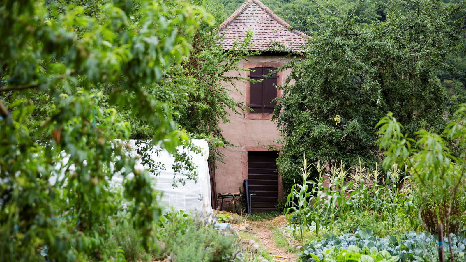 Potager particulier