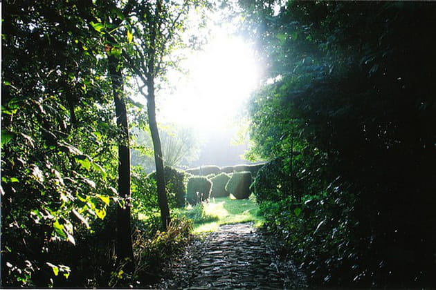 Tel un tableau impressionniste