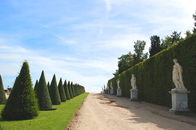 Le chemin du roi
