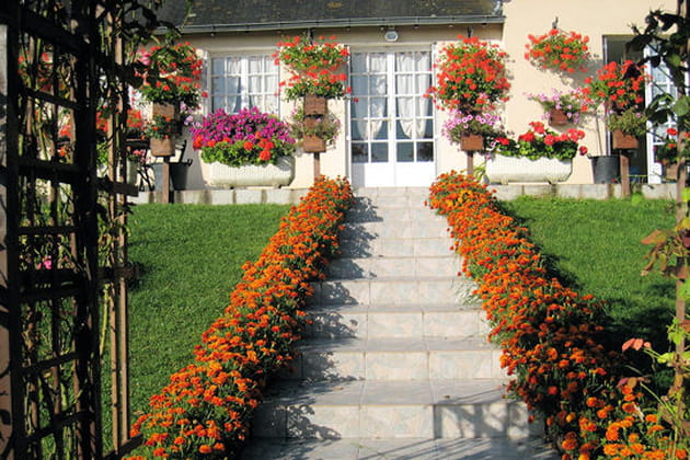 Le choix des contrastes