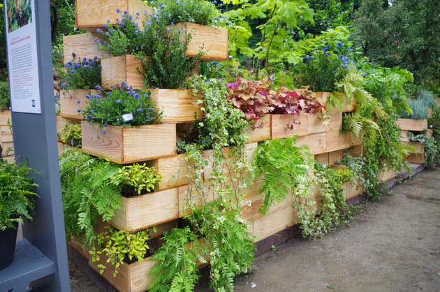 Un jardin de ville dans des bo&icirc;tes