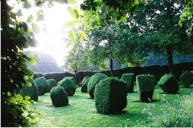 La très verdoyante chambre des Berlingots