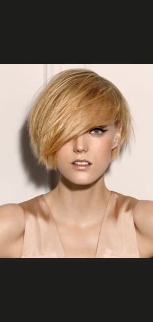 Coupe asym&eacute;trique, version sage