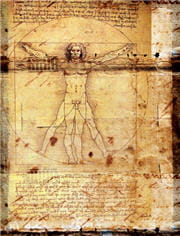 sans intuition, léonard de vinci n'aurait probablement jamais été le génie qu'on