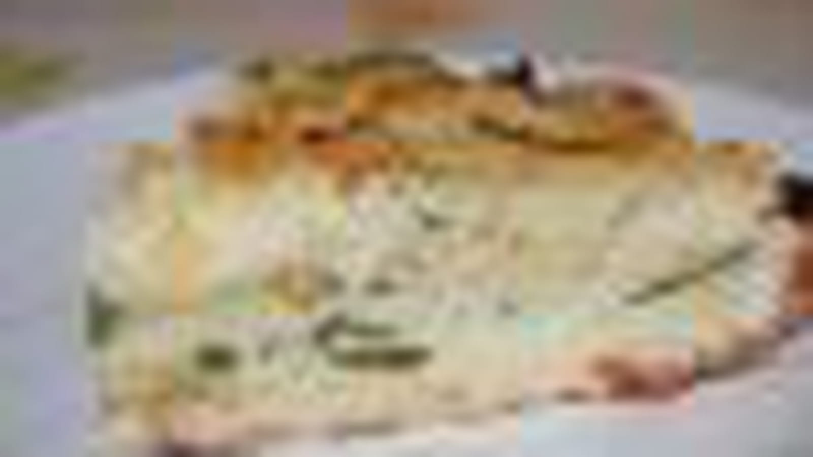 Tourte