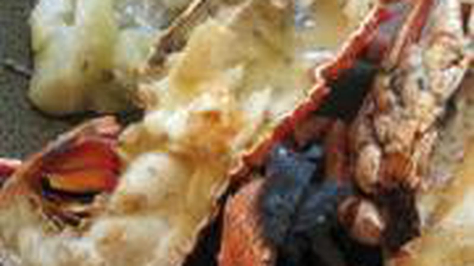 Langouste grillée au beurre à l'ail