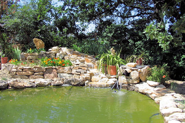 Le bassin, indispensable accessoire