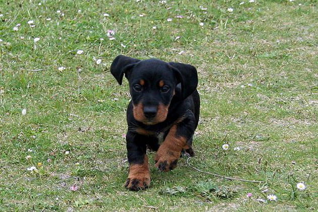 Attention, j'arrive&nbsp;!