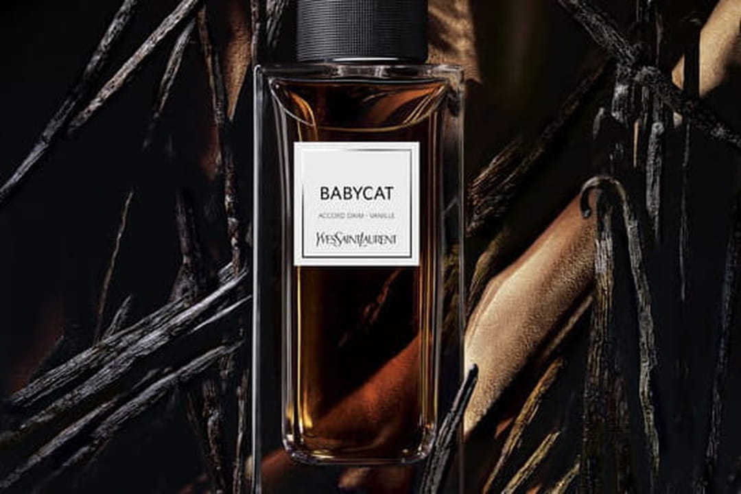 Babycat - Yves Saint Laurent