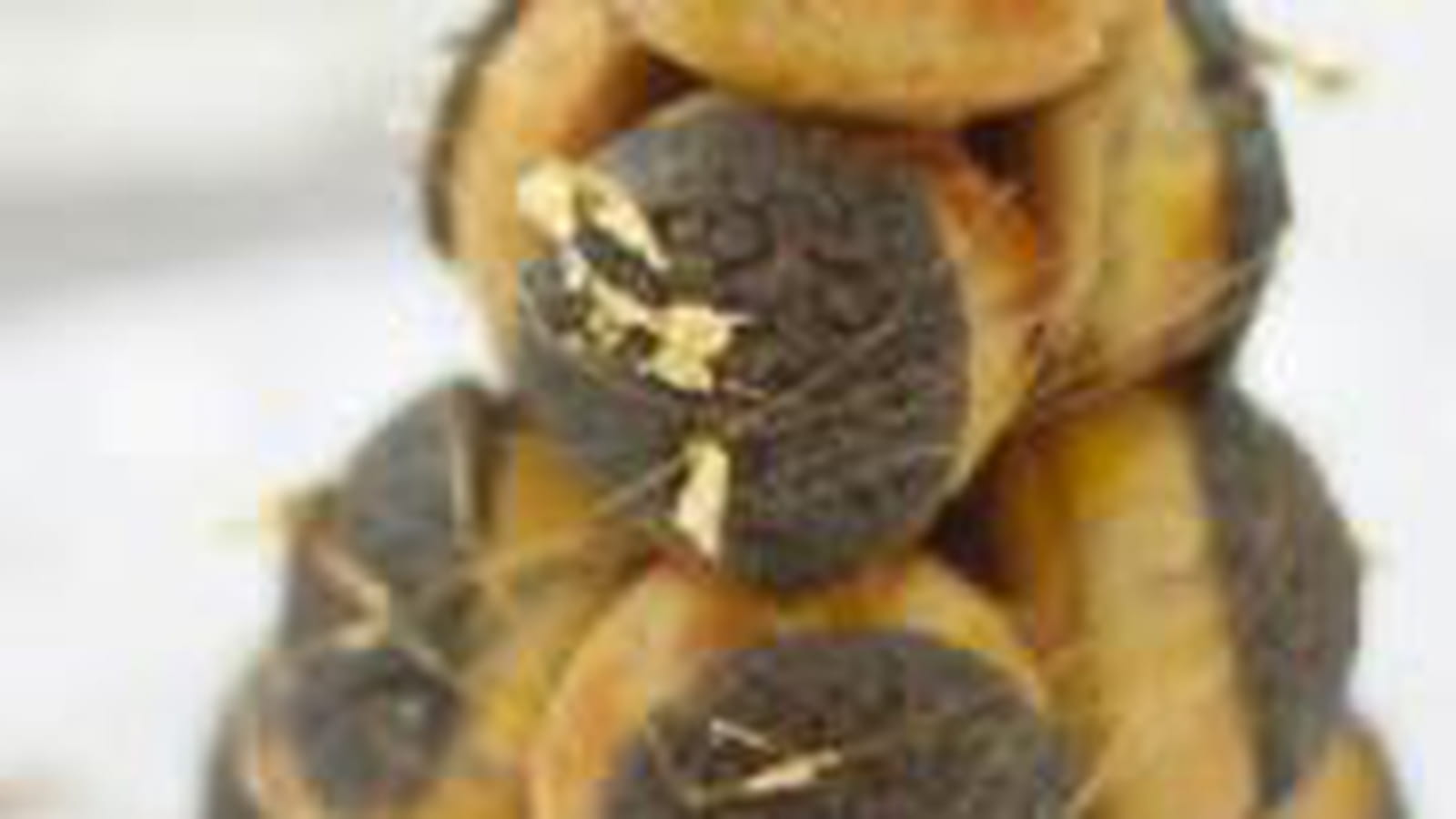 Choux chic en or et noir