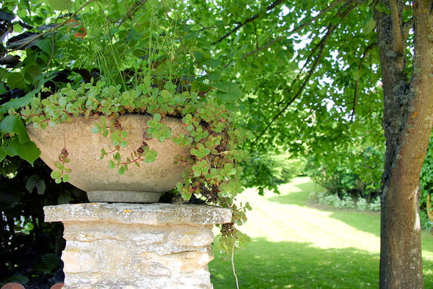 Délicatesse et simplicité