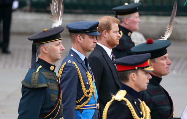 Prince William et prince Harry