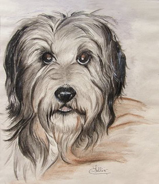 Un fid&egrave;le compagnon