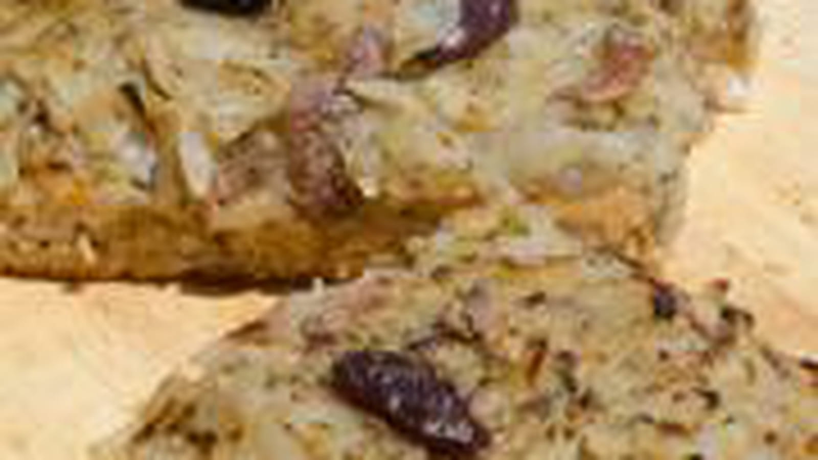 Pissaladière au levain