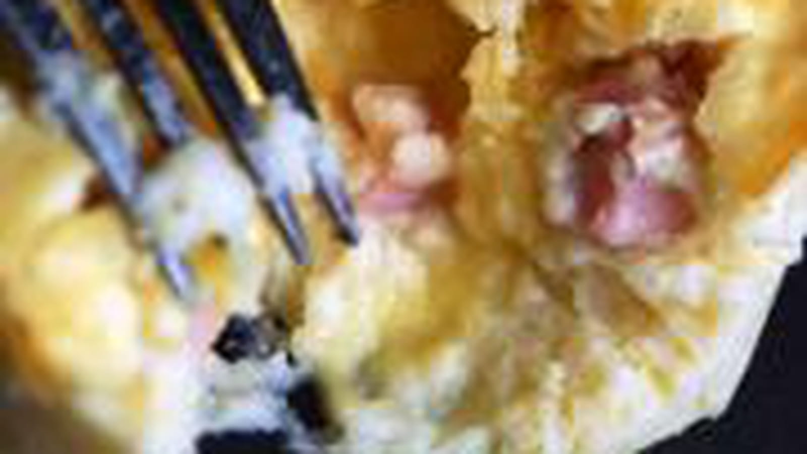 Flans de chou fleur au jambon, sauce hollandaise