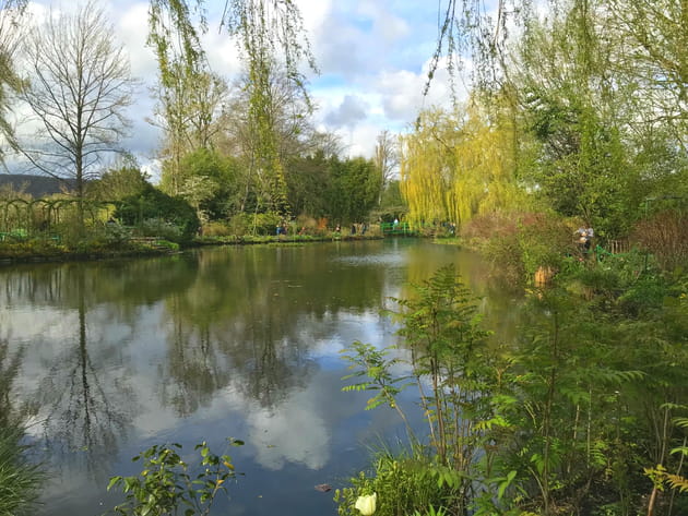 &Eacute;tang bord&eacute; de verdure