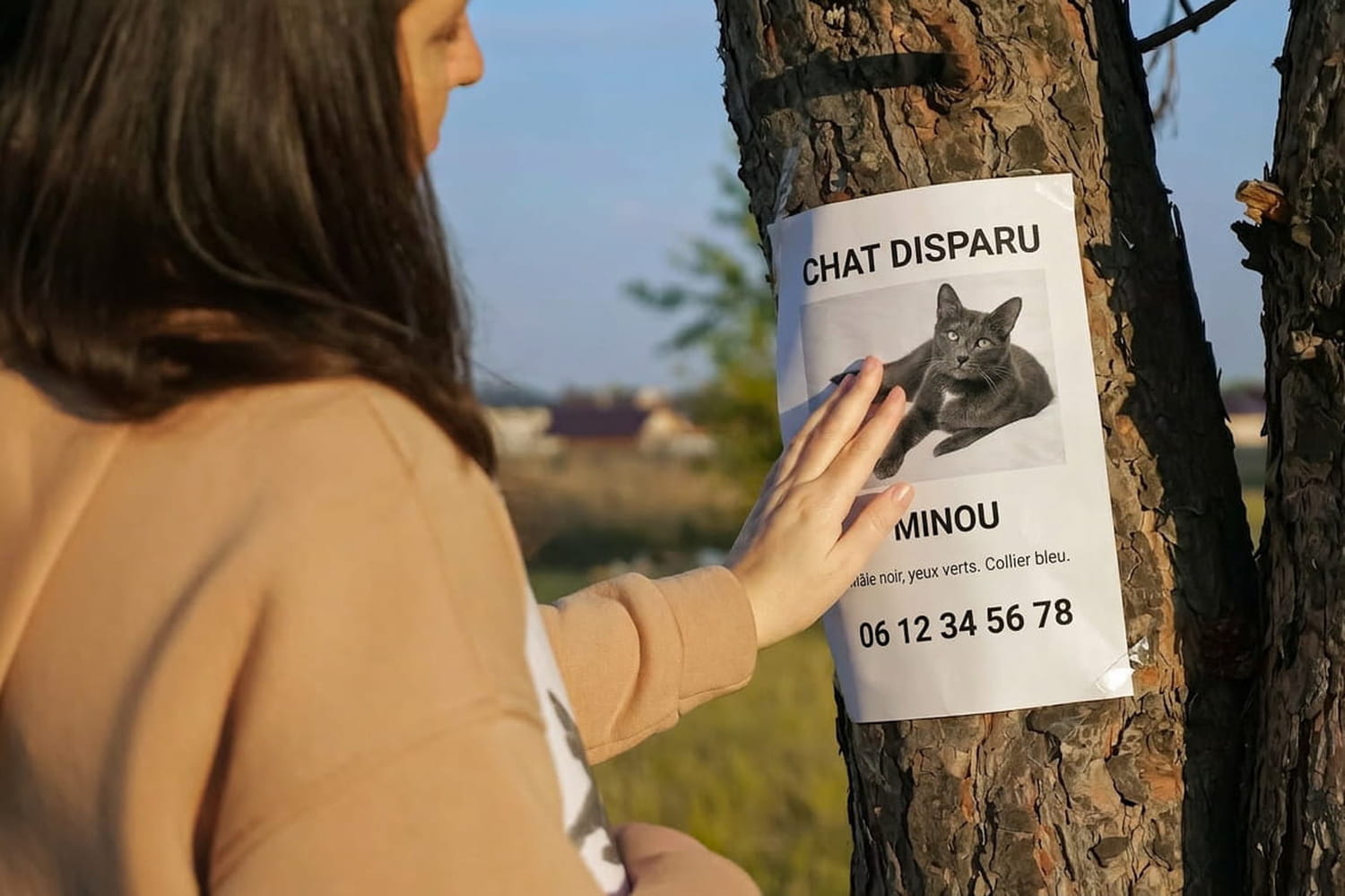 be wary before sharing a wanted notice for your animal be wary before sharing a wanted notice for your animal