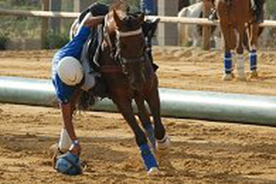 Le horse-ball, un sport équestre physique et ludique