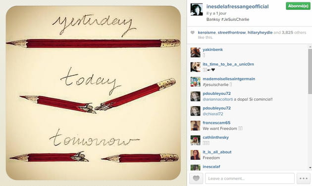 Ines de La Fressange soutient Charlie Hebdo