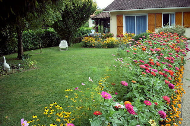 Un festival de clôtures végétales