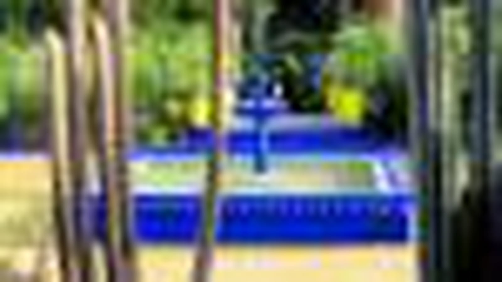 Majorelle