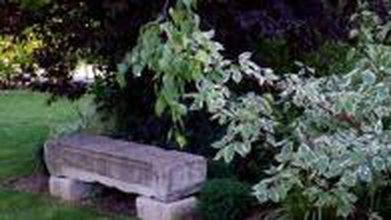 Banc de pierre 