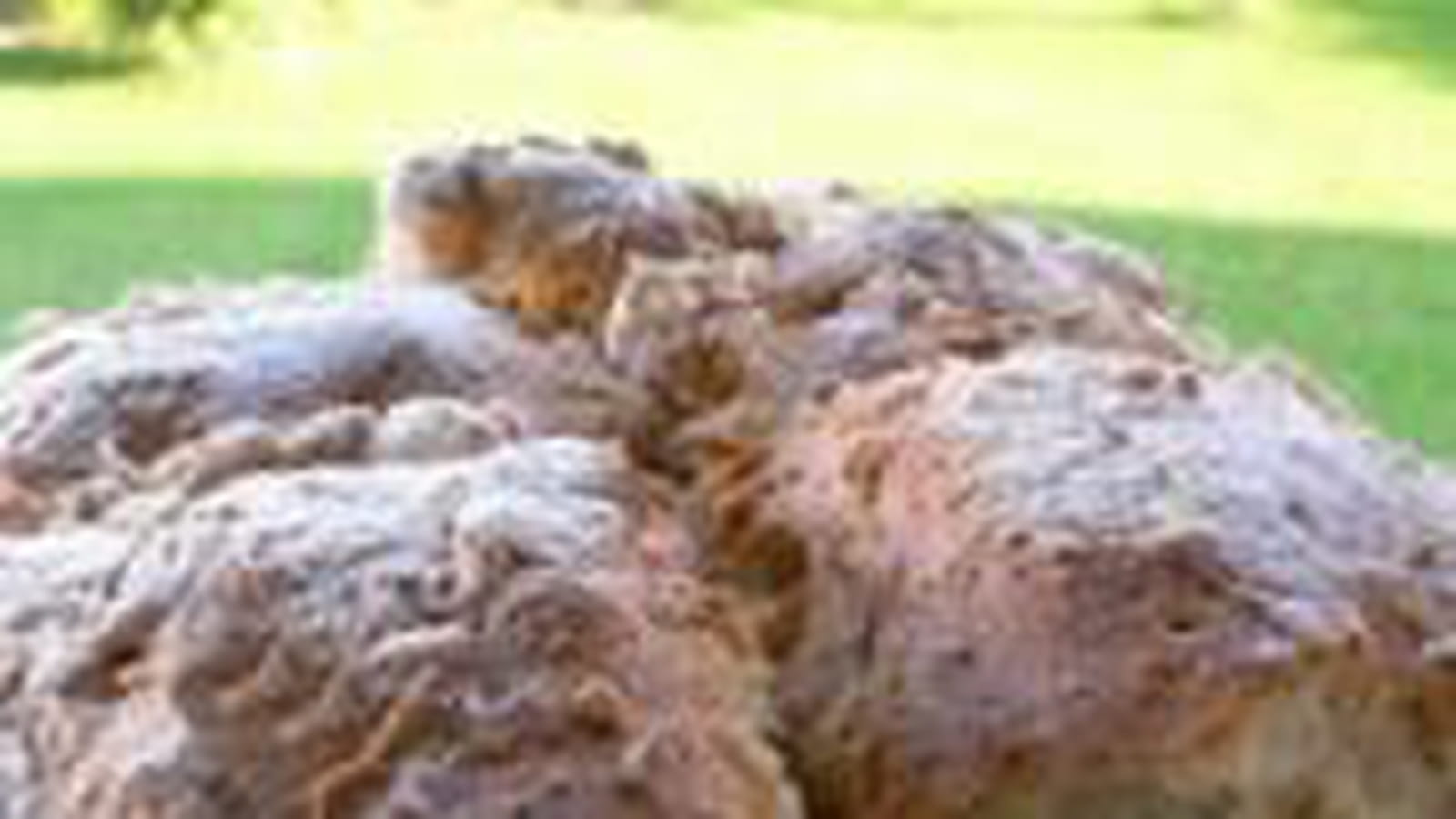 Pain au yaourt